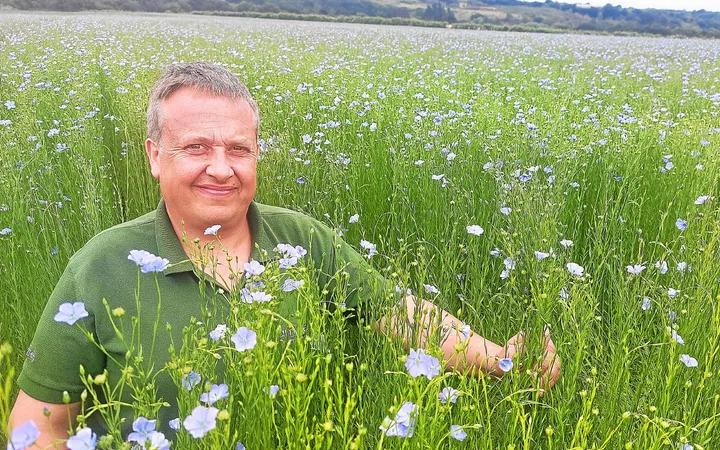 La Bretagne renoue avec la culture du lin, plante aux mille vertus